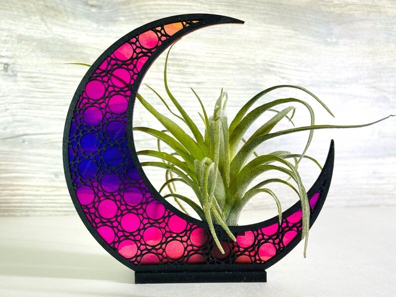 Celestial Moon Air Plant Holder - LuxArcane