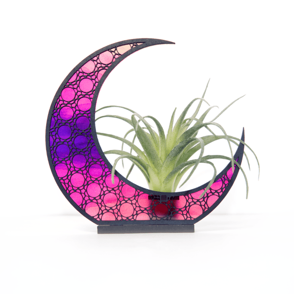 Celestial Moon Air Plant Holder - LuxArcane