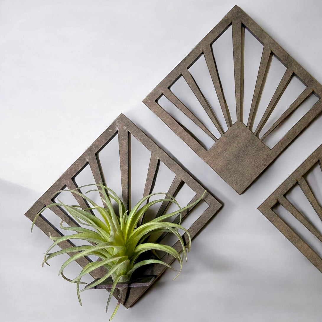 Diamond Art Deco Air Plant Holder - LuxArcane