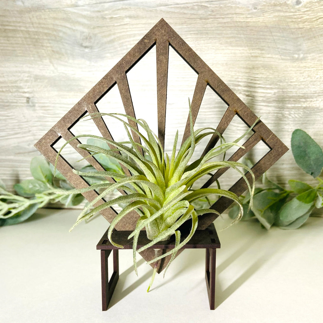 Diamond Art Deco Desktop Air Plant Holder - LuxArcane