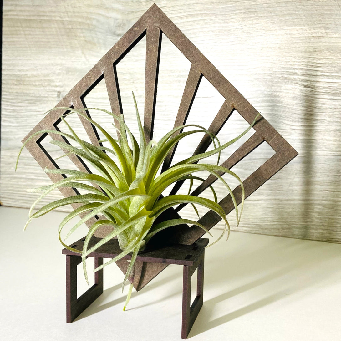 Diamond Art Deco Desktop Air Plant Holder - LuxArcane