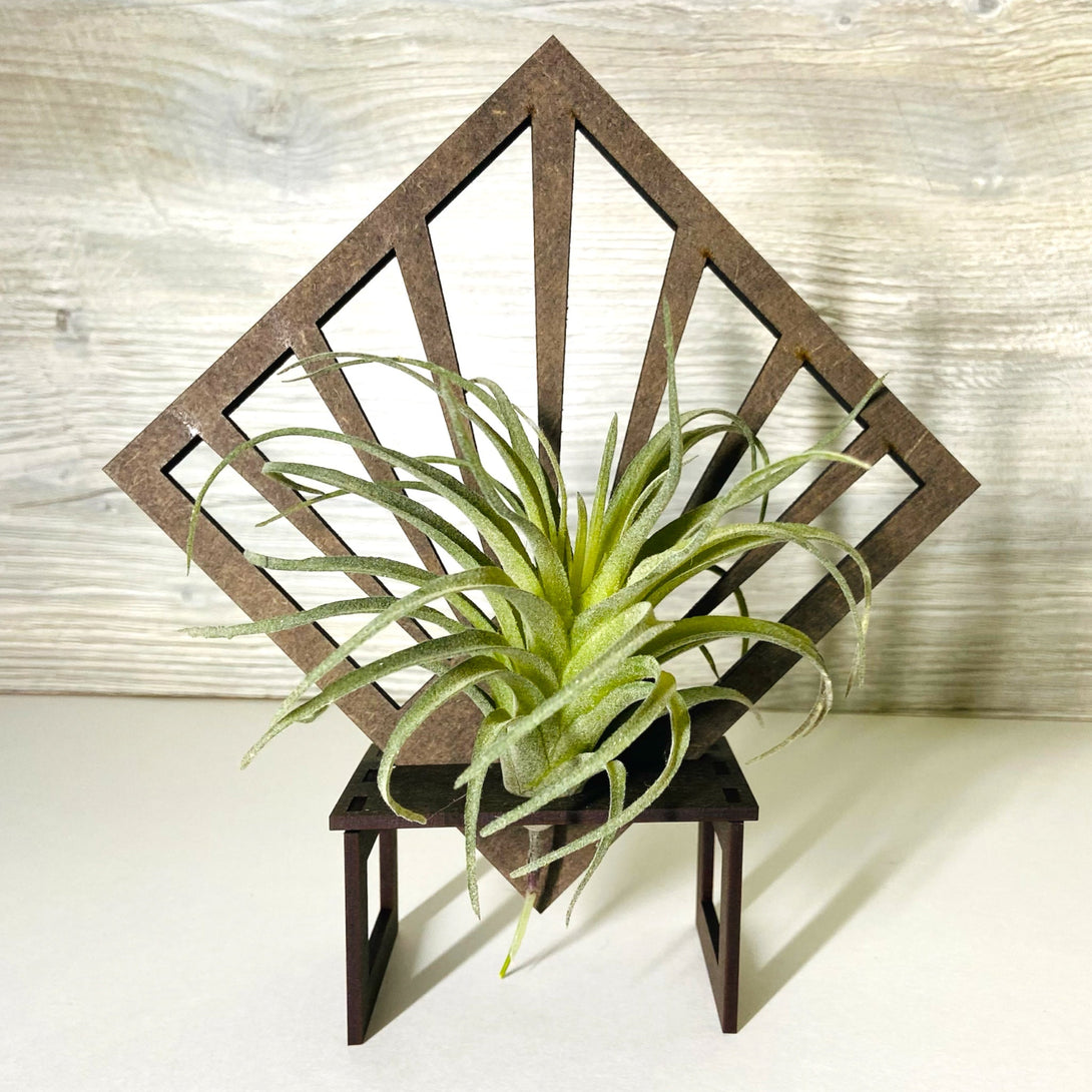 Diamond Art Deco Desktop Air Plant Holder - LuxArcane